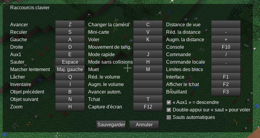 Écran des contrôles Minetest